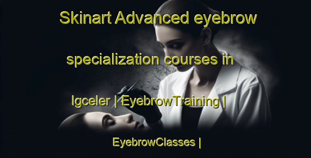 Skinart Advanced eyebrow specialization courses in Igceler | EyebrowTraining | EyebrowClasses | SkinartTraining-Turkey